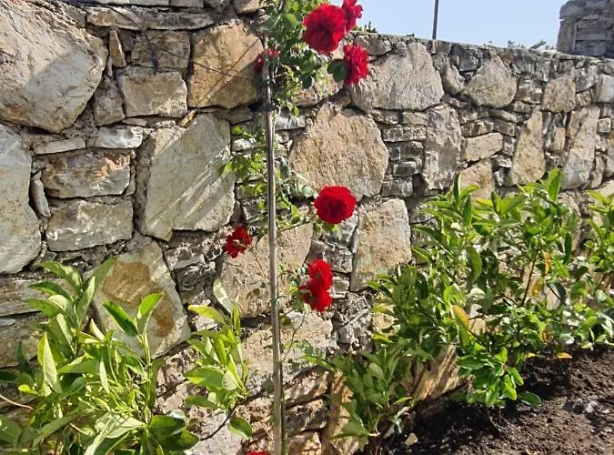 Bluberry Calis With Privat Pool *